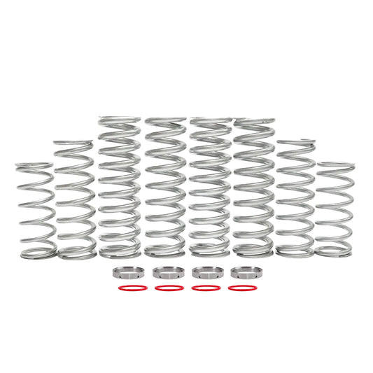 Polaris 2026 RZR XP S Dual Rate Spring Kit