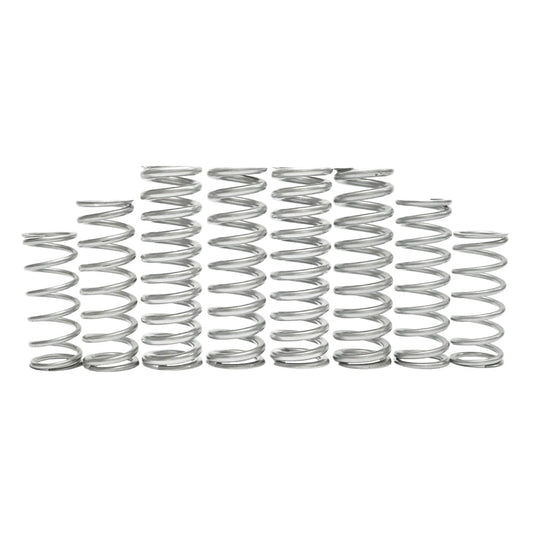 CFMoto ZForce Z10 Dual Rate Spring Kit